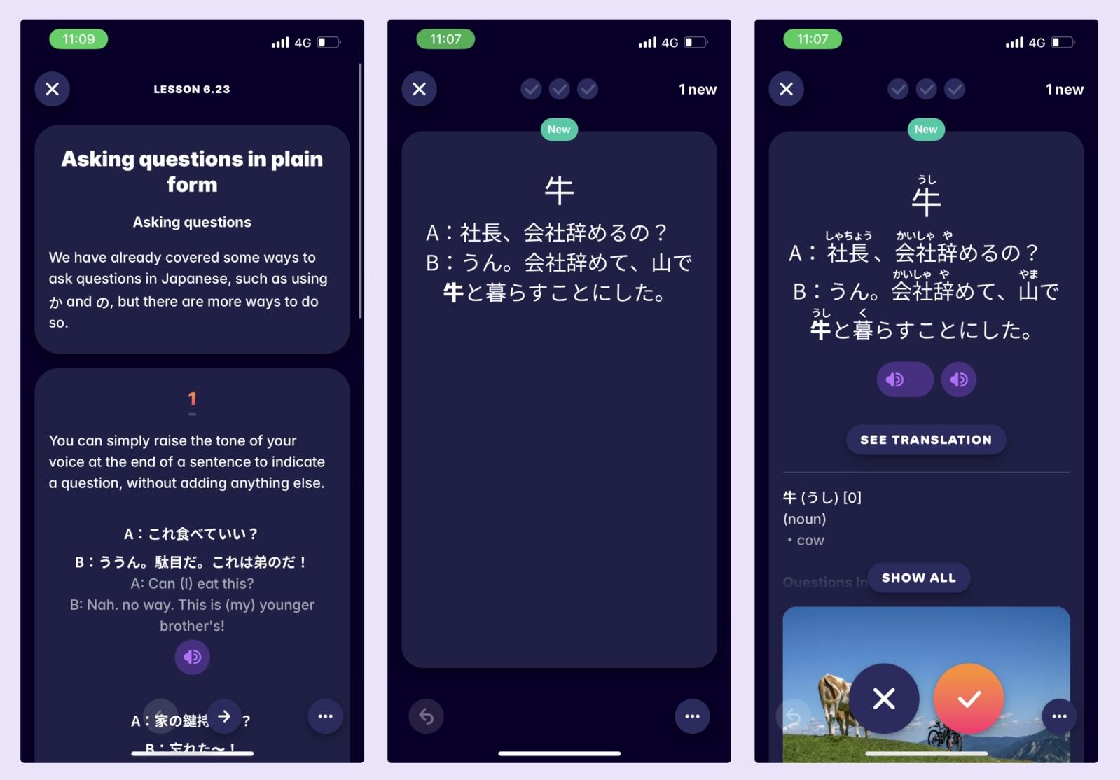 A screenshot from the Migaku Japanese course, showing how we help users learn Japanese words and grammar