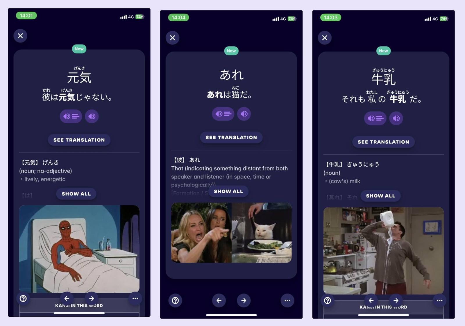 A screenshot showing how Migaku uses memes to make the learning process a bit more entertaining