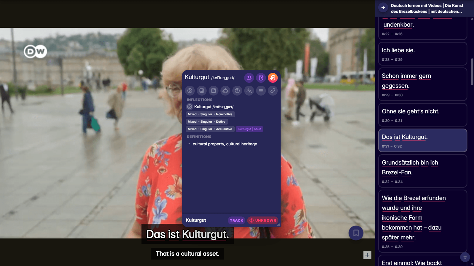 learn german language with migaku